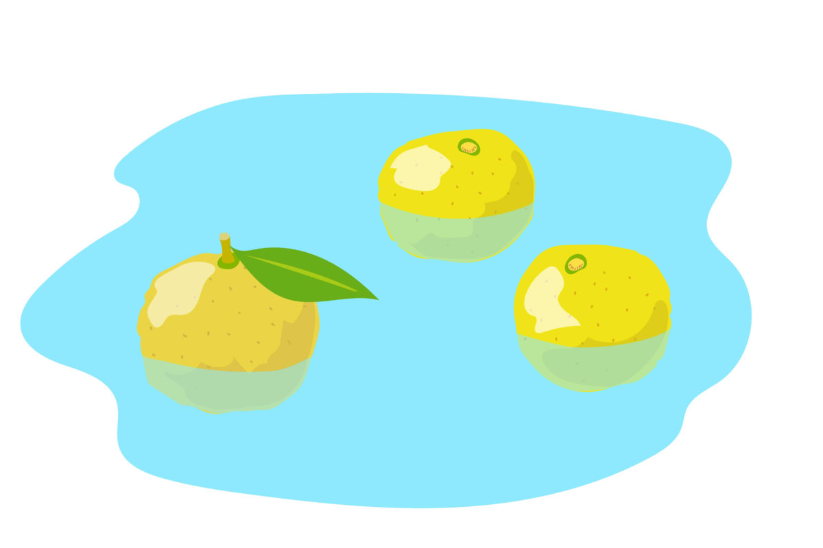 yuzu,citron-1kj