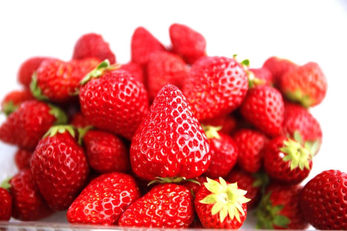 ichigo,Strawberry-6ve_ok(photo by AC)