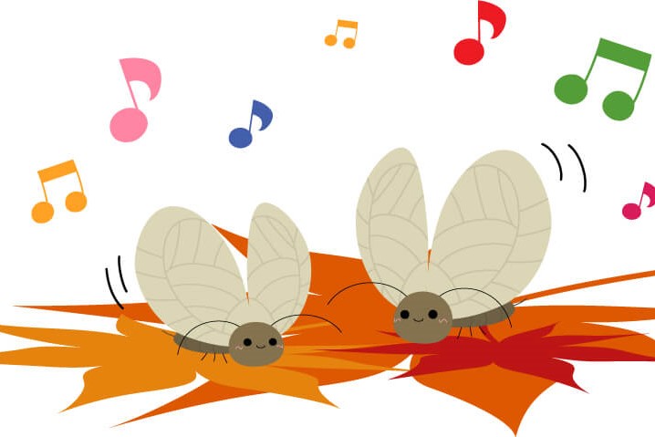 akinomushi suzumushi ve